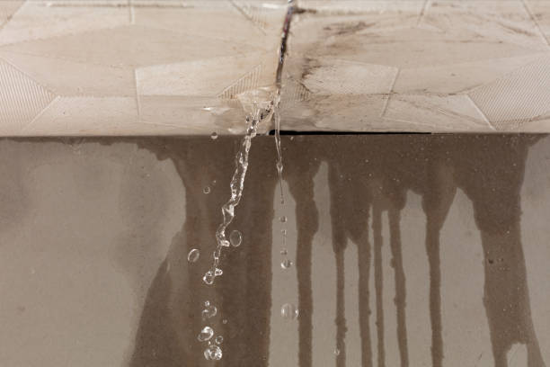 Professional Burst Pipe Cleanup technician working in Jamestown, SC